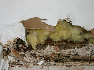 About Mill Woods Property Rescue - emergency flood drying service experts in Edmonton